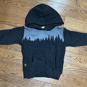 Tentree Juniper Hoodie size 3T